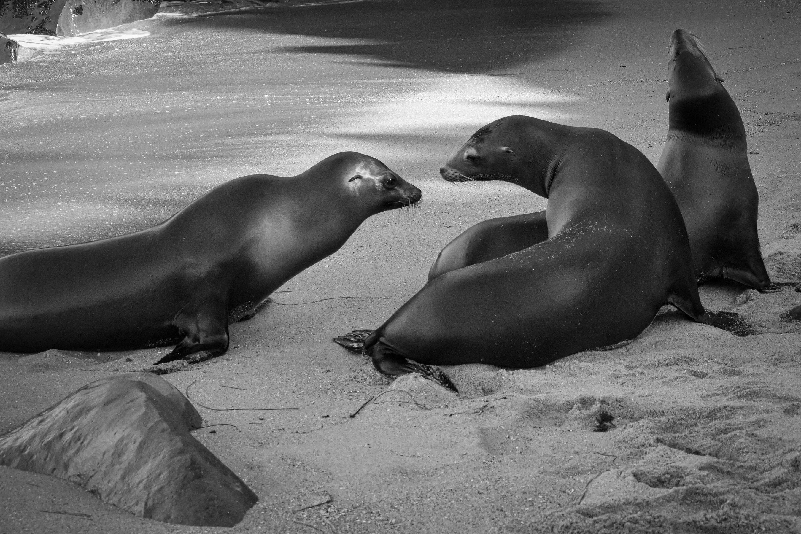 Hanging at the beach